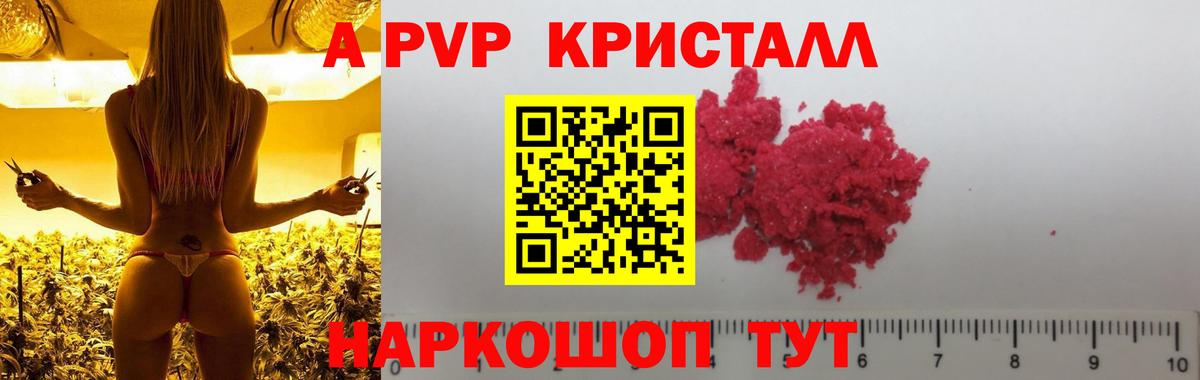 Alfa_PVP СК  Саров 