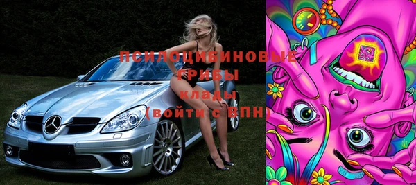 спиды Чердынь