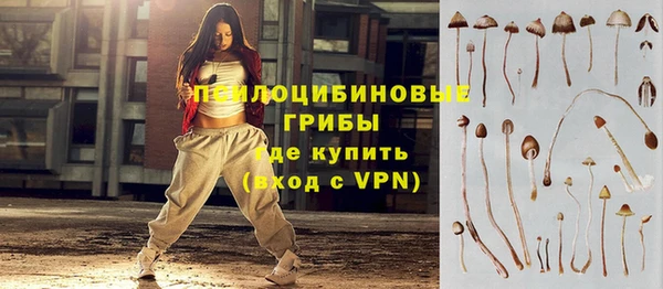 прущие крисы Нязепетровск