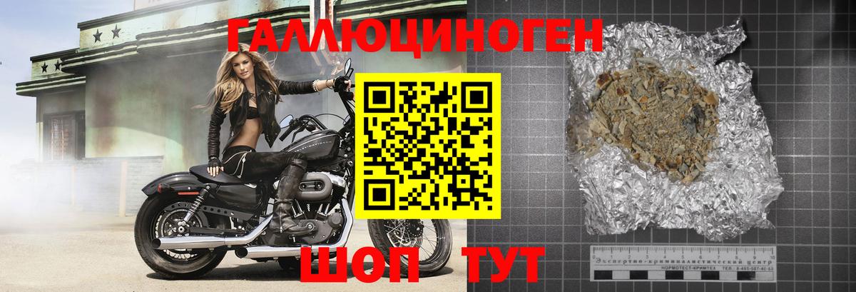 Галлюциногенные грибы Psilocybine cubensis  Псилоцибиновые грибы MAGIC MUSHROOMS  Саров 