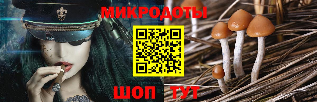 Псилоцибиновые грибы прущие грибы  Вход с VPN  Саров 